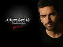 Personal folio - Video Gallery Admin flash templates