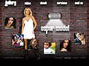 Nice Gallery - Video Gallery Admin flash templates