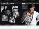 My Gallery - Video Gallery Admin flash templates